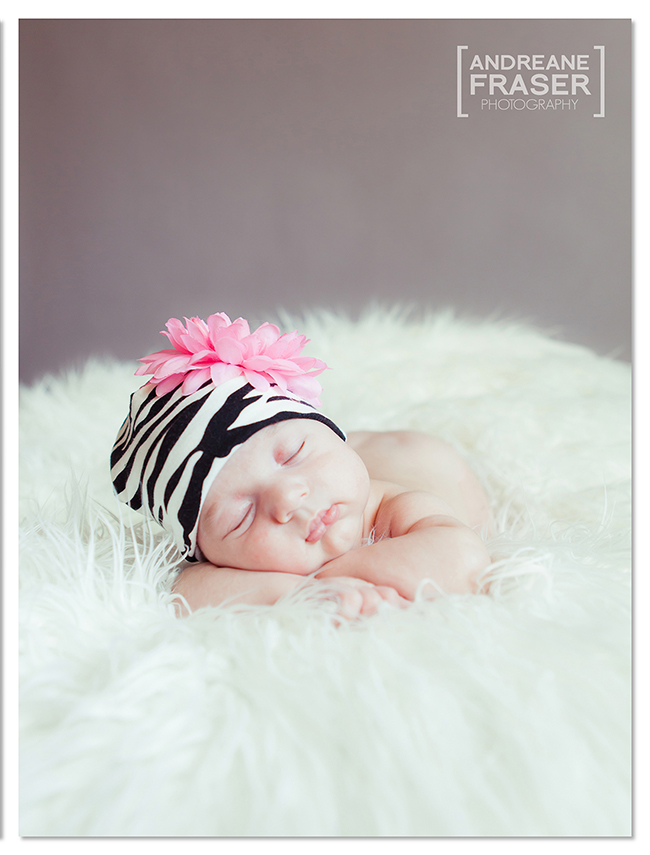 Newborn by Andreane Fraser How You Shot it   Newborn by Andreane Fraser