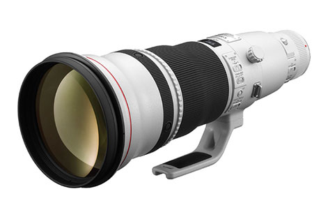 Canon’s Newest Pro Super-Telephotos Available for Pre-Order!