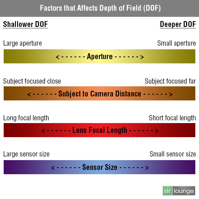 Factors-That-Affect-DOF by SLR Lounge