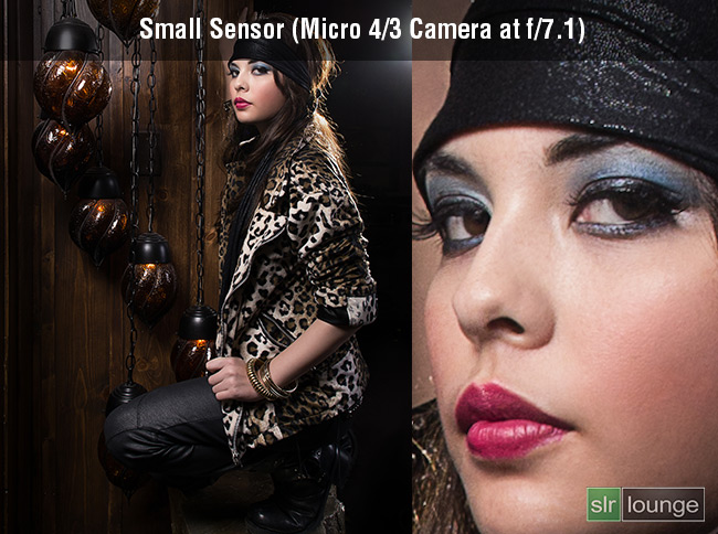 Sensor-Size-Small by SLR Lounge