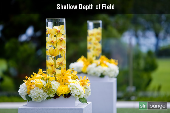 Shallow-DOF by SLR Lounge