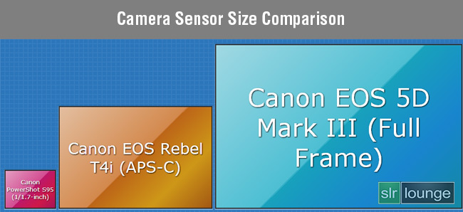 Sensor-Size-Comparison-(cameraimagesensor.com)
