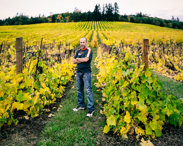 Vineyard Portrait by anmith88