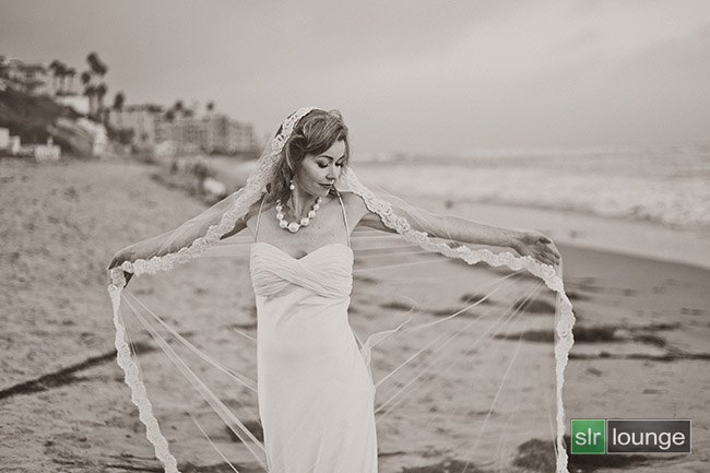 beach-silhouette-wedding-portrait-650c