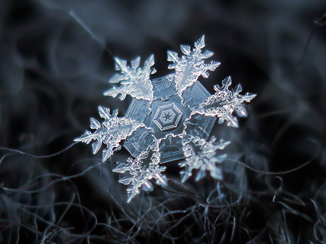 Alexey Kljatov Snowflake