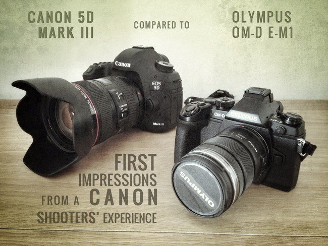 From Canon 5d Mark Iii To Olympus Om D E M1 First Impressions