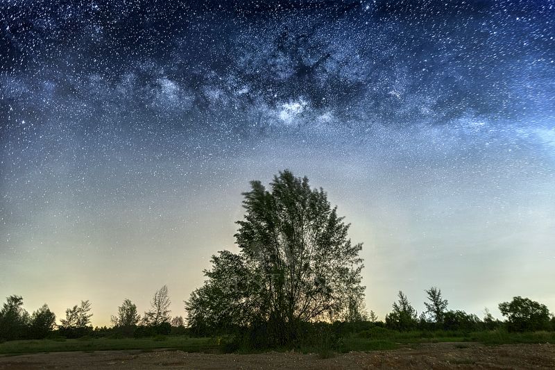 140625-Naked Eye Milky Way Above Tree