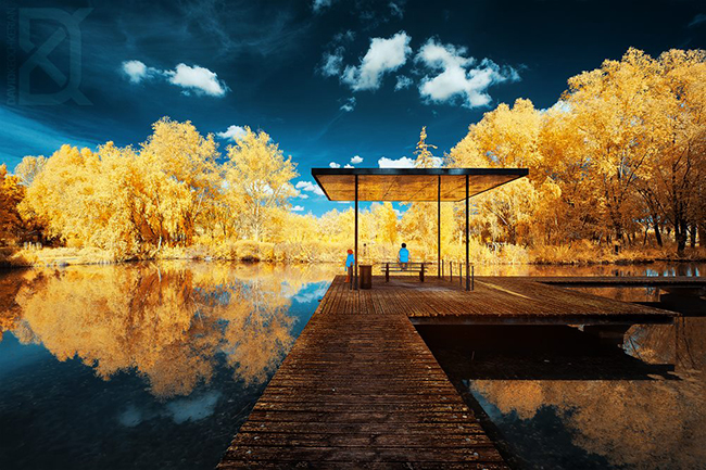 Beautiful Infrared Photography Will Make You Pause and Stare
