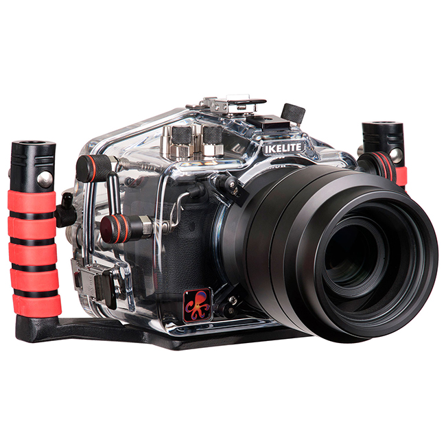 Shooting With Underwater Camera Housing | The Ikelite Gear Review