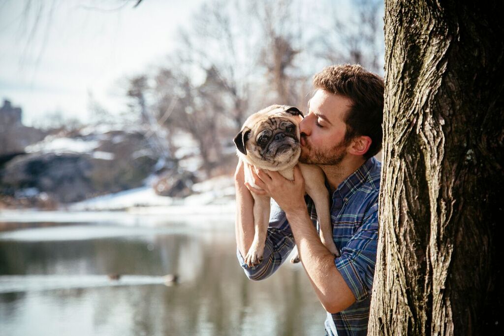 Man And His Pug Show Their Love In Engagement Style Photo Shoot Parody See more ideas about engagement style, engagement, couple photos. engagement style photo shoot parody
