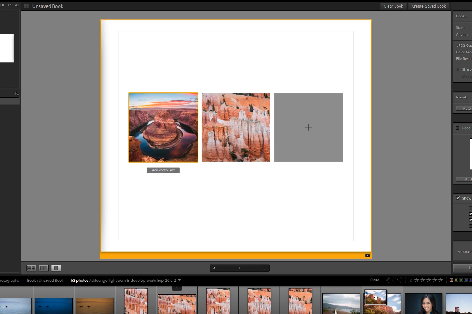Lightroom Image Processing Mastery: Using the Book Module for Wall Murals