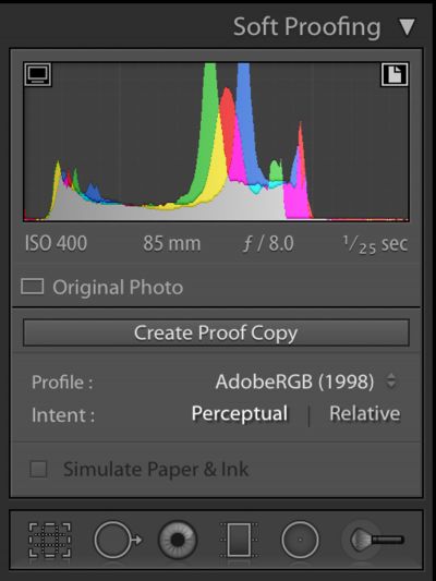 print-lightroom-soft-proof-how-to-datacolor-calibration-photography-slrlounge-kishore-sawh