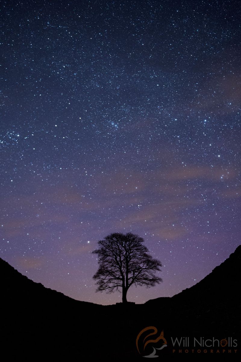 How To Photograph Stars 7 Essential Night Photography Tips