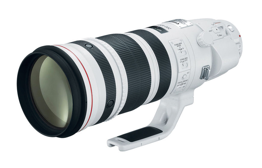Could This Be The Successor To The Venerable Canon 28-300mm f/5.6?