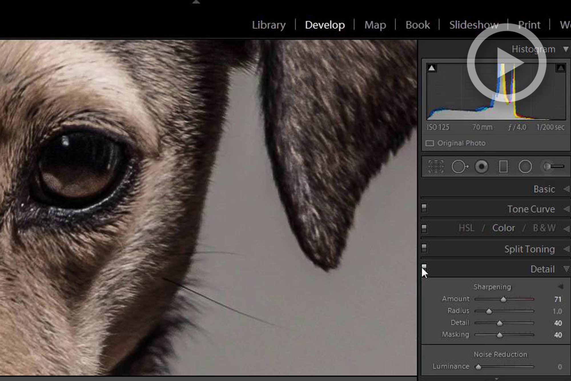 How To Add Detail & Texture Entirely In Lightroom For An HD Look