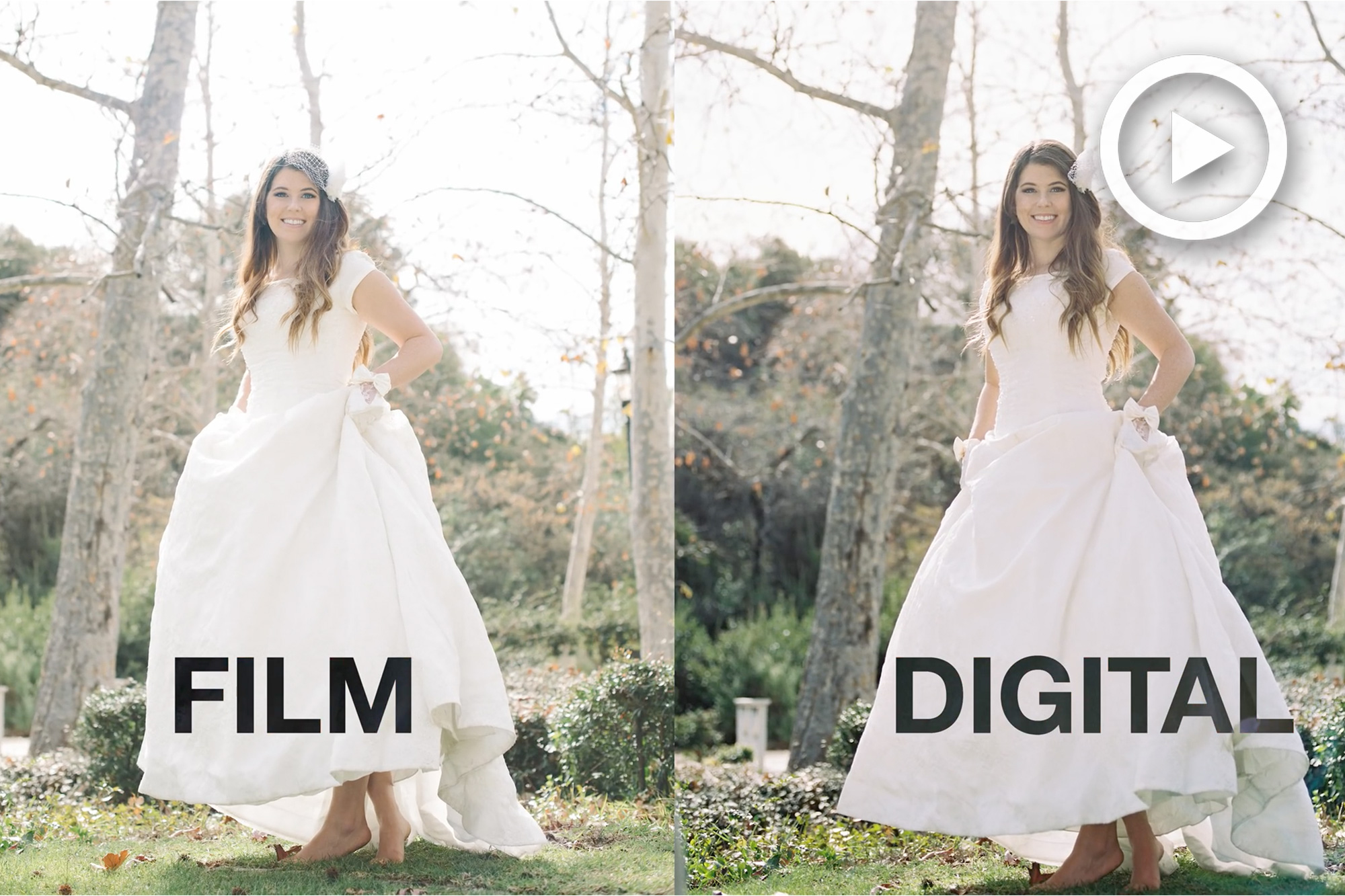 Film vs Digital: Can You Tell the Difference? Enough To Warrant The Expense ...2000 x 1333