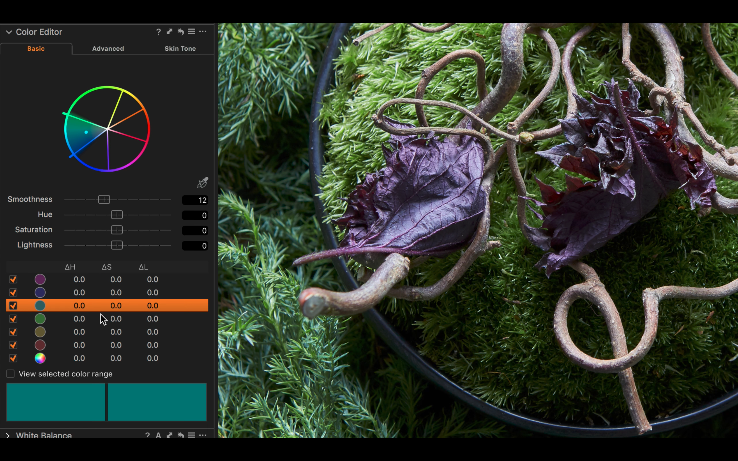 Capture One Tips | How To Use 'The Color Editor'