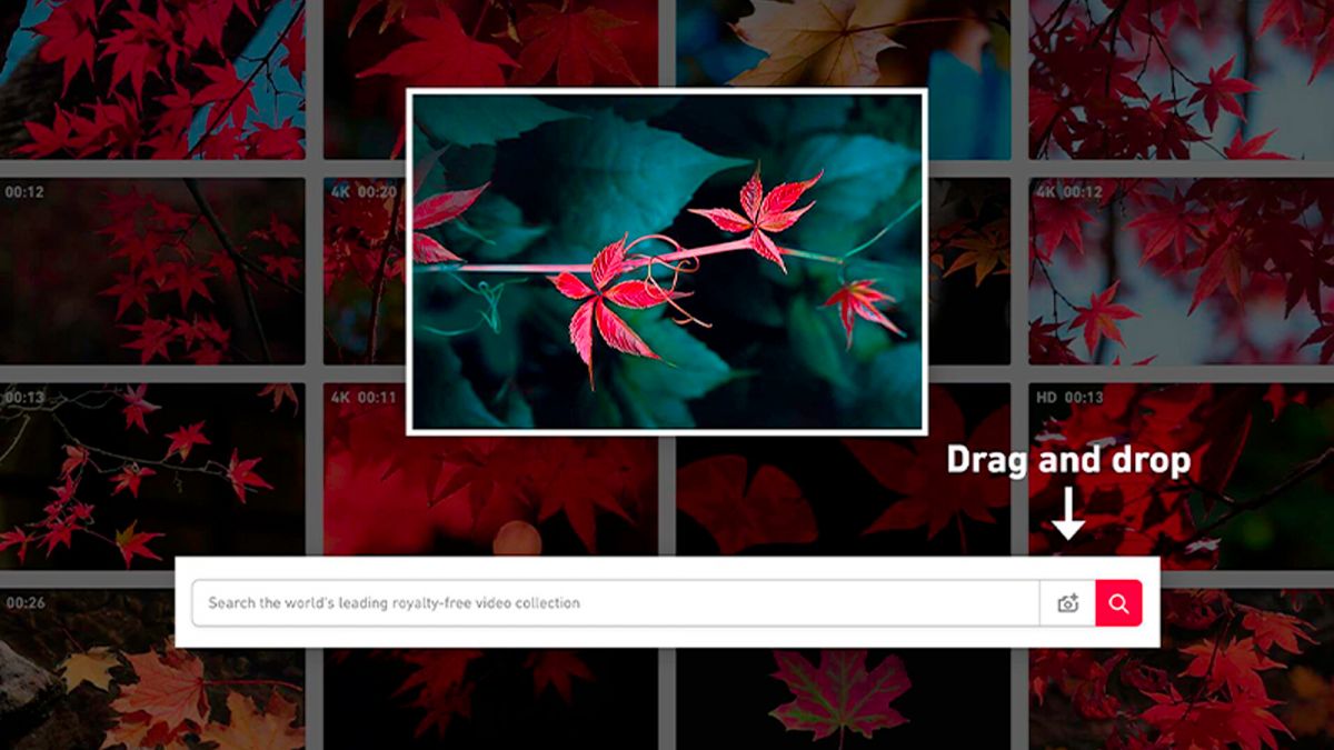 Shutterstock Launches Reverse Search for Video