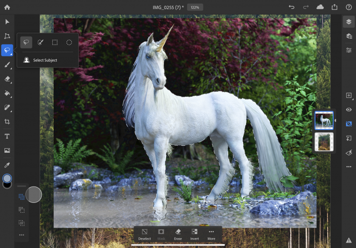 Selecionar assunto do Adobe Photoshop iPad