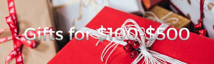 2019 Holiday Gifts for Photographers 100 500 SLR Lounge