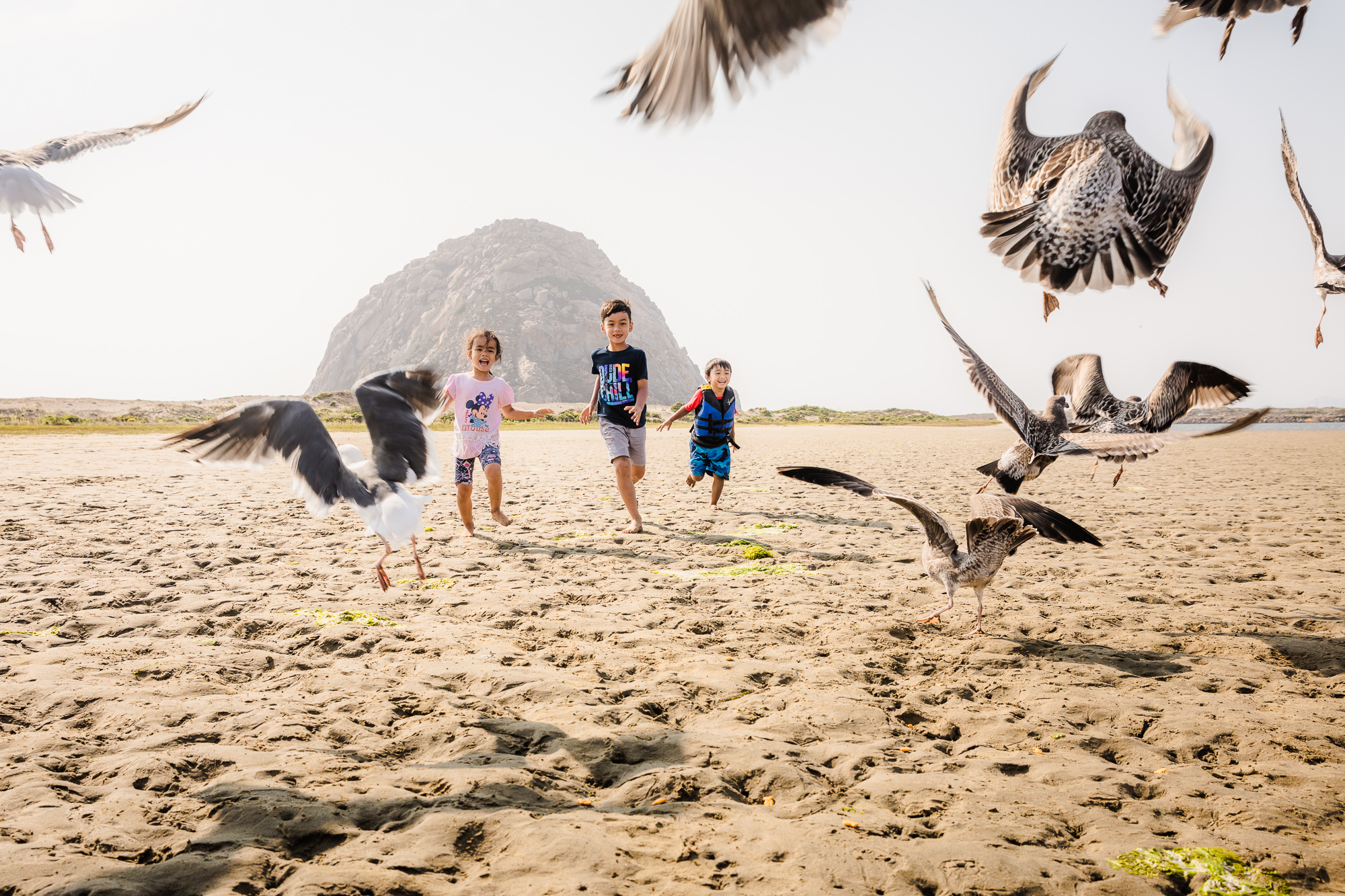 kids run through a group of birds