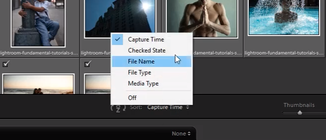 A filter dropdown menu is highlighted