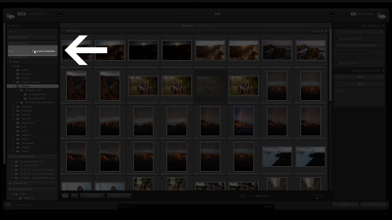 The Include Subfolders checkbox in the Source Panel in Lightroom is highlighted