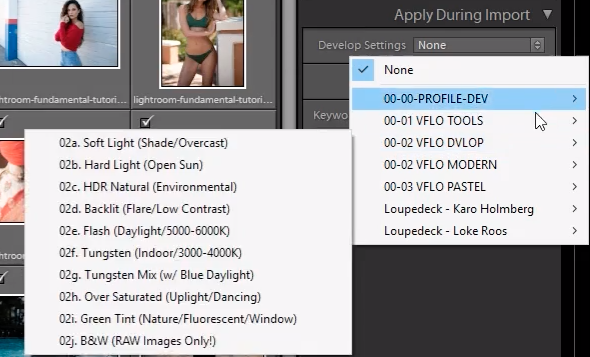 Preset options under the Apply During Import dropdown menu