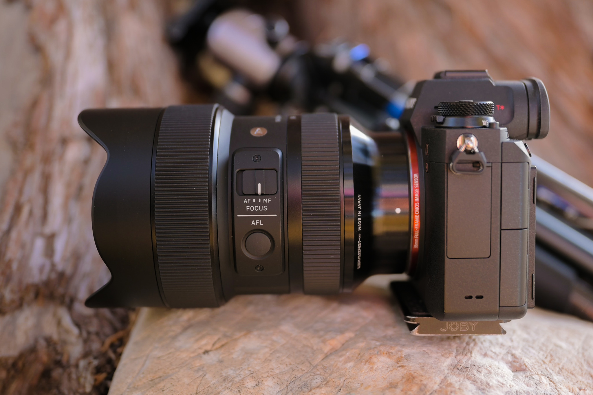 Sigma 14 24mm F 2 8 Dn Art Mirrorless Lens Review The New Sony Fe Ultra Wide Champion