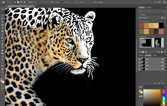 Photoshop Leopard Capture Panel