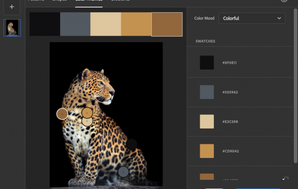 Photoshop Leopard Capture Panel Colors