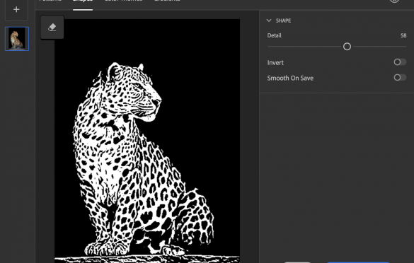 Photoshop Leopard Capture Panel Shapes