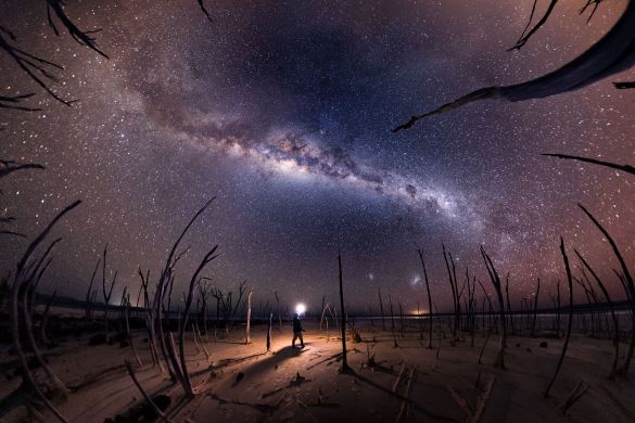 “Nightmare” – Michael Goh

Dumbleyung Lake – Australia

Dumbleyung Lake is a salt lake located in western Australia. The lake is surrounded by hundreds of trees that have died due to the salt levels, and, on a calm night, all the stars reflect off the water.
For this image, the dead trees gave me the idea of capturing them clawing up at the sky – the fish-eye panorama turned out better than expected, as the trees almost looked like tentacles.  The location is very dark, so with no moonlight available, I used my self-portrait style with the figure holding the light (now a bit clichéd) to create more depth in the image as a solitary figure standing amongst the dead trees.