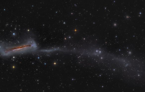 NGC 3628 with 300,000 Light Year Long Tail © Mark Hanson (USA) - RUNNER-UP
NGC 3628 is a popular galaxy target for both astrophotographers and visual observers with its distinctive dust lane. Studies by professional astronomers have shown that the evolution of some galaxies are the product of a series of minor merges with smaller dwarf galaxies. This image is an epic undertaking of five years of exposures taken with three different telescopes, although the majority of the exposure was in 2019. The goal of this ambitious mosaic is to show the tidal tail, measuring 300,000 light years in length, with enough depth combined with a wide field of view to show it in its entirety.
Planewave 17, Planewave 24 and RCOS 14.5 telescopes at f/6.8, Planewave H200 and Paramount ME mounts, SBIG 16803 camera, L-RGB composite, 54 hours total exposure
