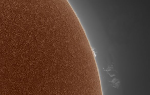 Detached Prominences © Thea Hutchinson (UK), aged 13 - RUNNER-UP
This is the Sun imaged from London in September 2019. This is a composite of two images, one exposed for the solar prominences and the other for the solar disc. The solar disc image was inverted, converted to false colour and blended with the prominence in Photoshop as a dark layer. This was the first time the photographer used this technique.
Lunt LS60THa telescope, Ha filtered solar scope, Celestron CGE Pro mount, ZWO ASI174MM camera, 500 mm with 2.5x Powermate (1250) f/8.3 with 2.5 x Televue Powermate (20.75) lens, Prominence: 750 x 26.7-millisecond exposures, Solar disk: 750 x 1.764-millisecond exposures