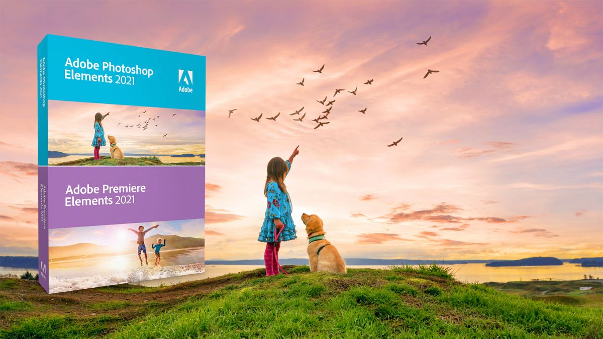 Adobe Photoshop & Premiere Elements Get a Big Update for 2021