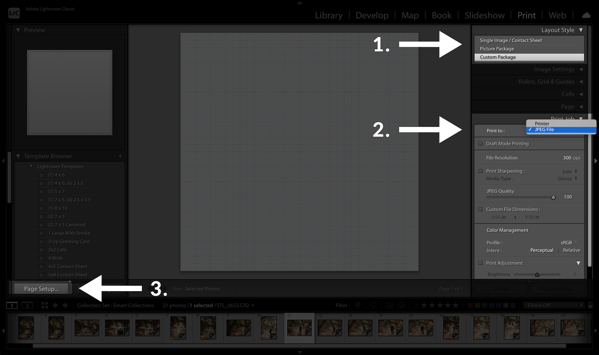 create and use lightroom templates in lightroom set parameters