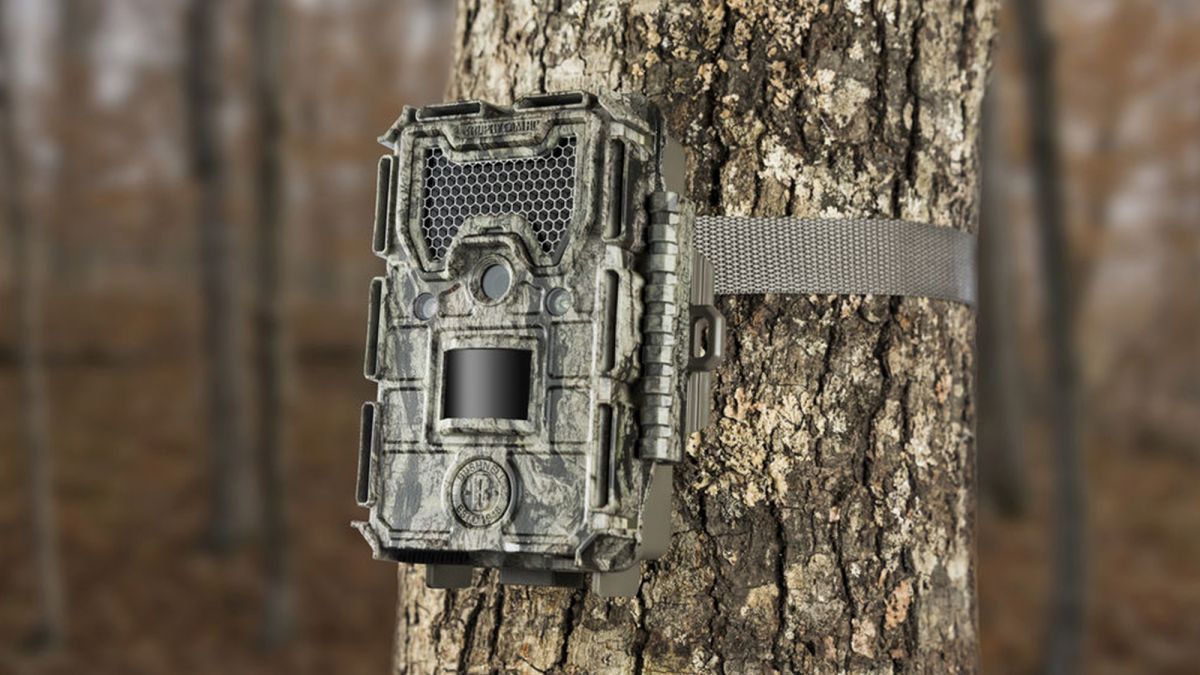 Best Trail Cameras (Updated For 2020)