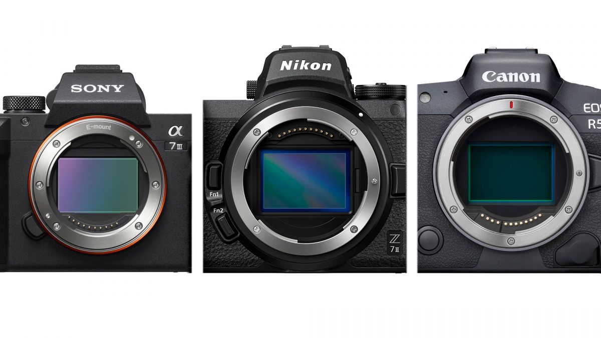 Expect Delays on Some Major Camera Brands This Year
