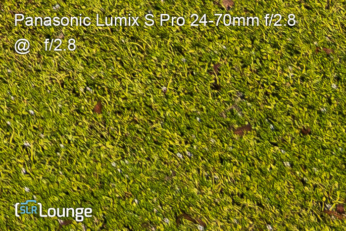Panasonic Lumix S Pro 24 70mm f 2 8 review sharpness test 2 8