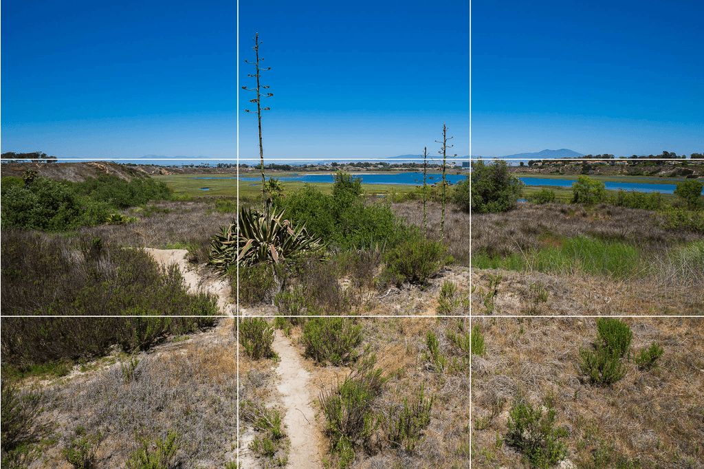 landscape photography rule of thirds wide angle lens