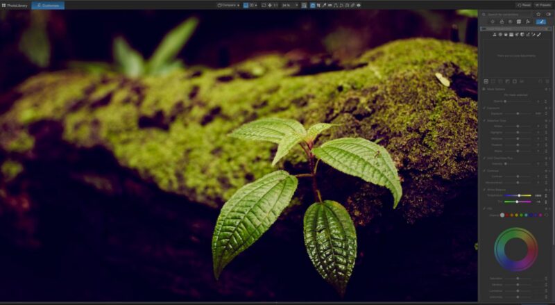 DxO PhotoLab 10 Review | Harnessing New AI Tools: Depth Masking, People Selection, & More!